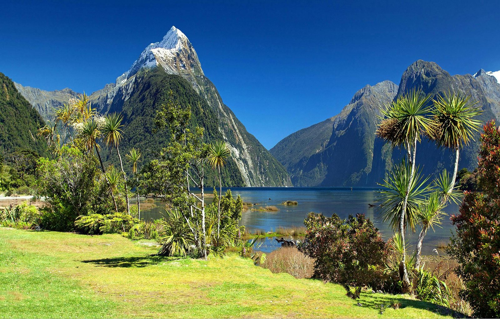 Find Peaceful Stays in Nature